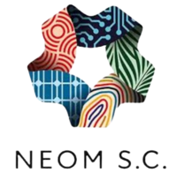 新未来城体育 队徽